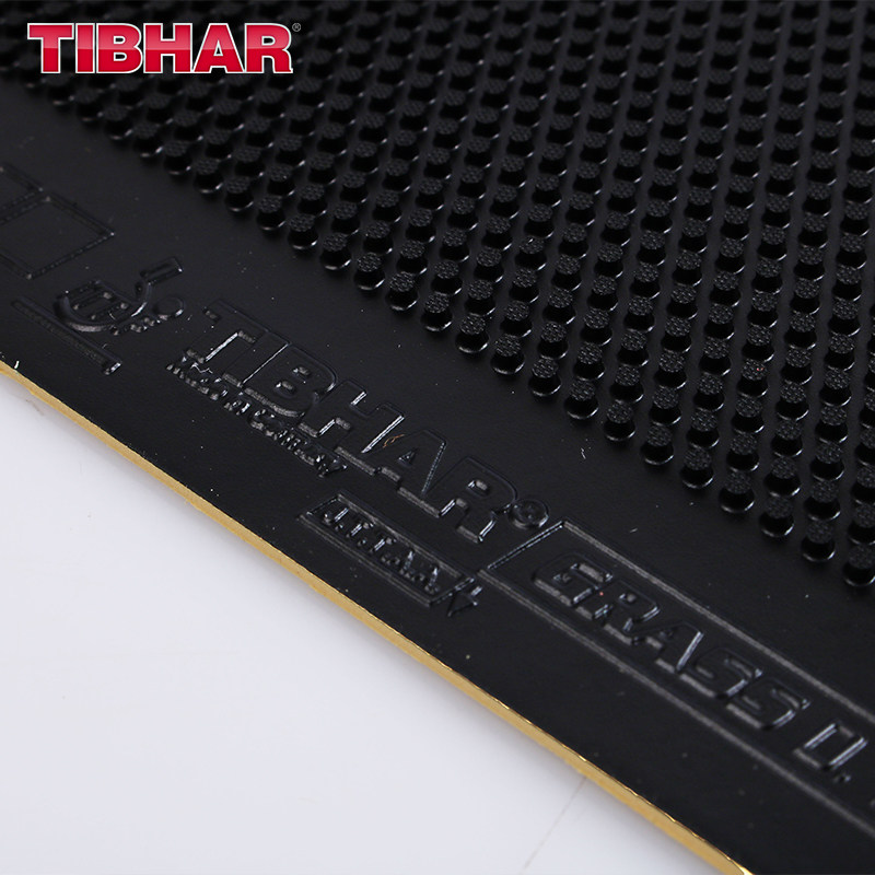 TIBHAR GRASS D.TECS Table Tenn - đánh giá và giá Table Tennis Rubber Anti Spin